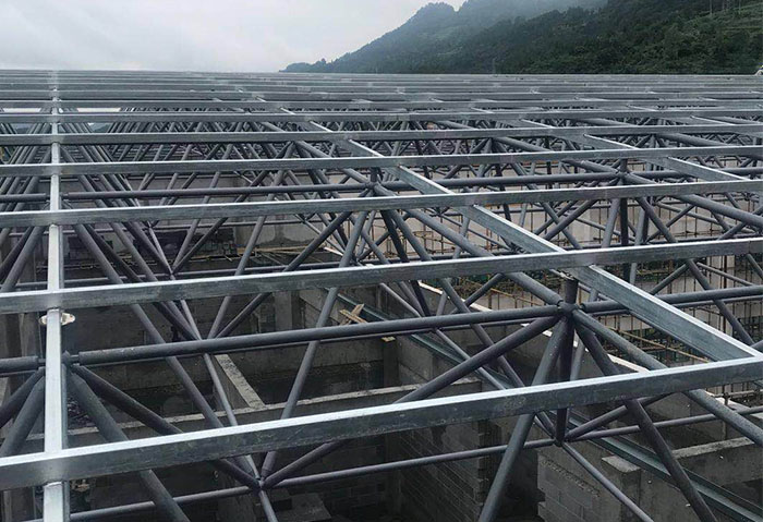 九龙坡学校艺体楼网架